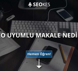 SEO Uyumlu Makale Nedir?