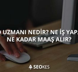 SEO Uzman? Nedir?