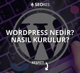 WordPress Nedir? Nas?l Kurulur?