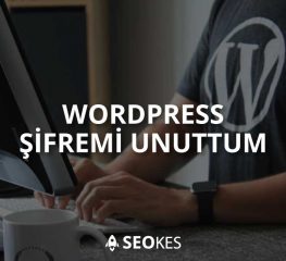 WordPress ?ifremi Unuttum Nas?l Çözülür?