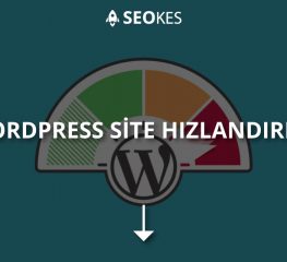 WordPress Site H?zland?rma Nas?l Yap?l?r?